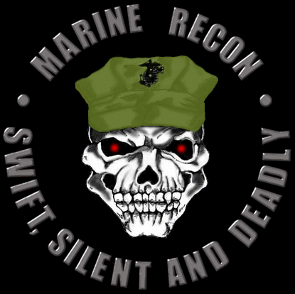 Image result for pics marine recon snipers 
